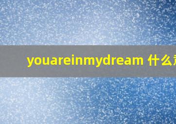 youareinmydream 什么意思